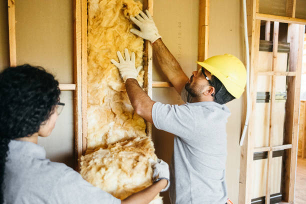 Best Local Insulation Services  in Etowah, NC