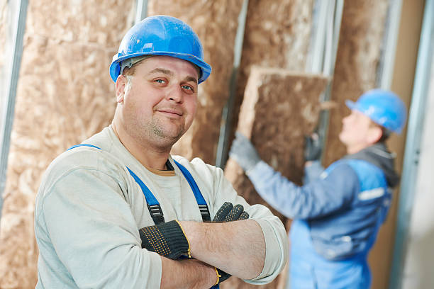 Best Insulation Removal  in Etowah, NC